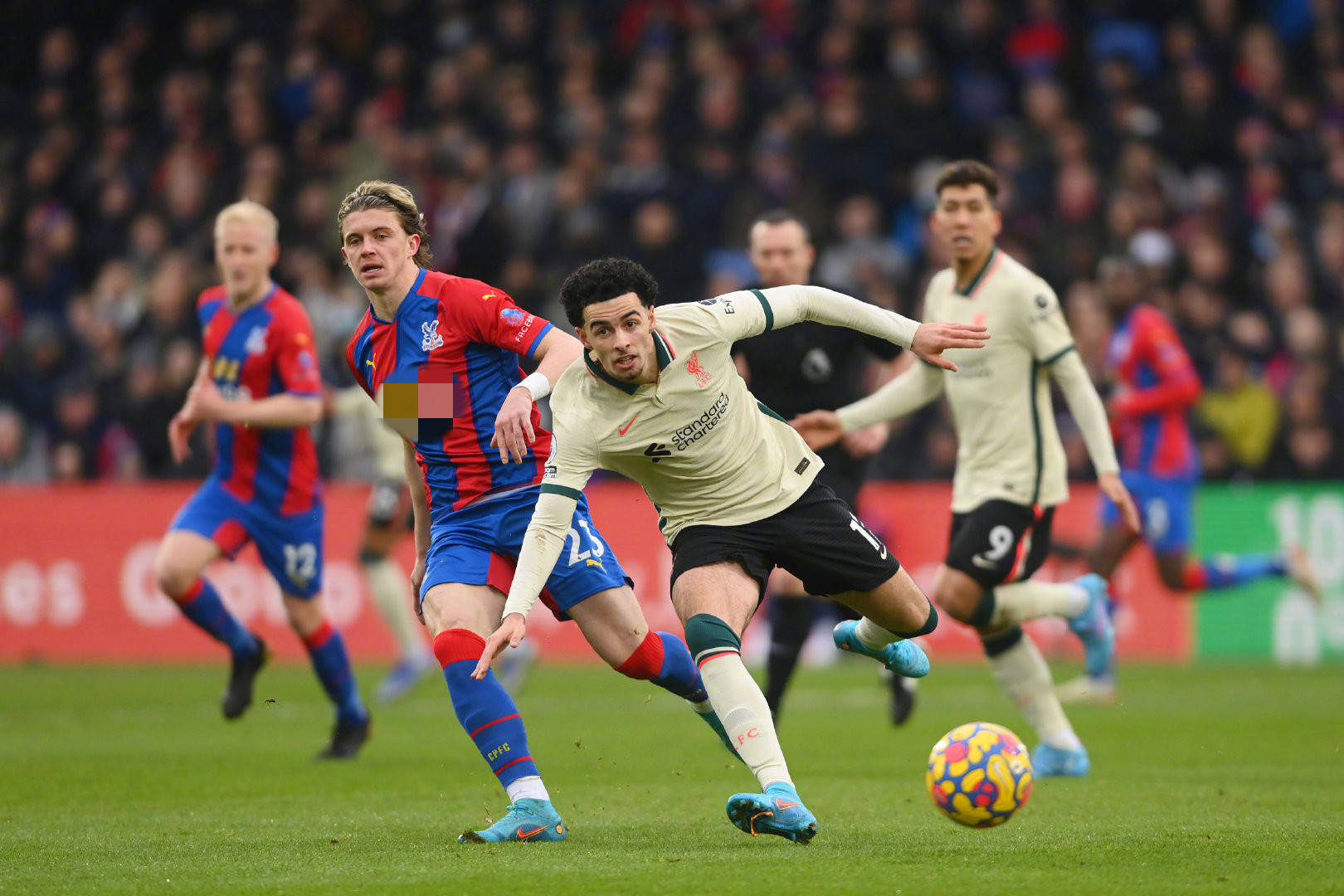 坎贝尔和克 坎贝尔和克